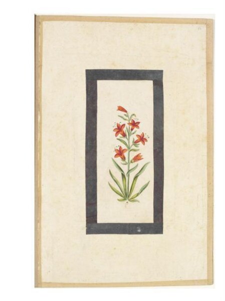 Unknown, Painting