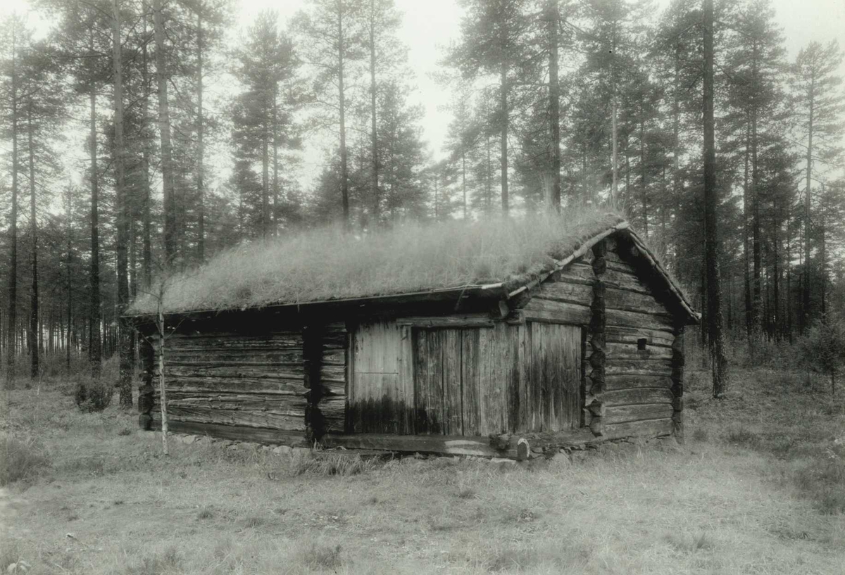 Gisle Midttun, Follandsvangen, Alvdal, Nord-Østerdal, Hedmark. Seterhus mellom høye trær. Nå på Glomdalsmuseet.