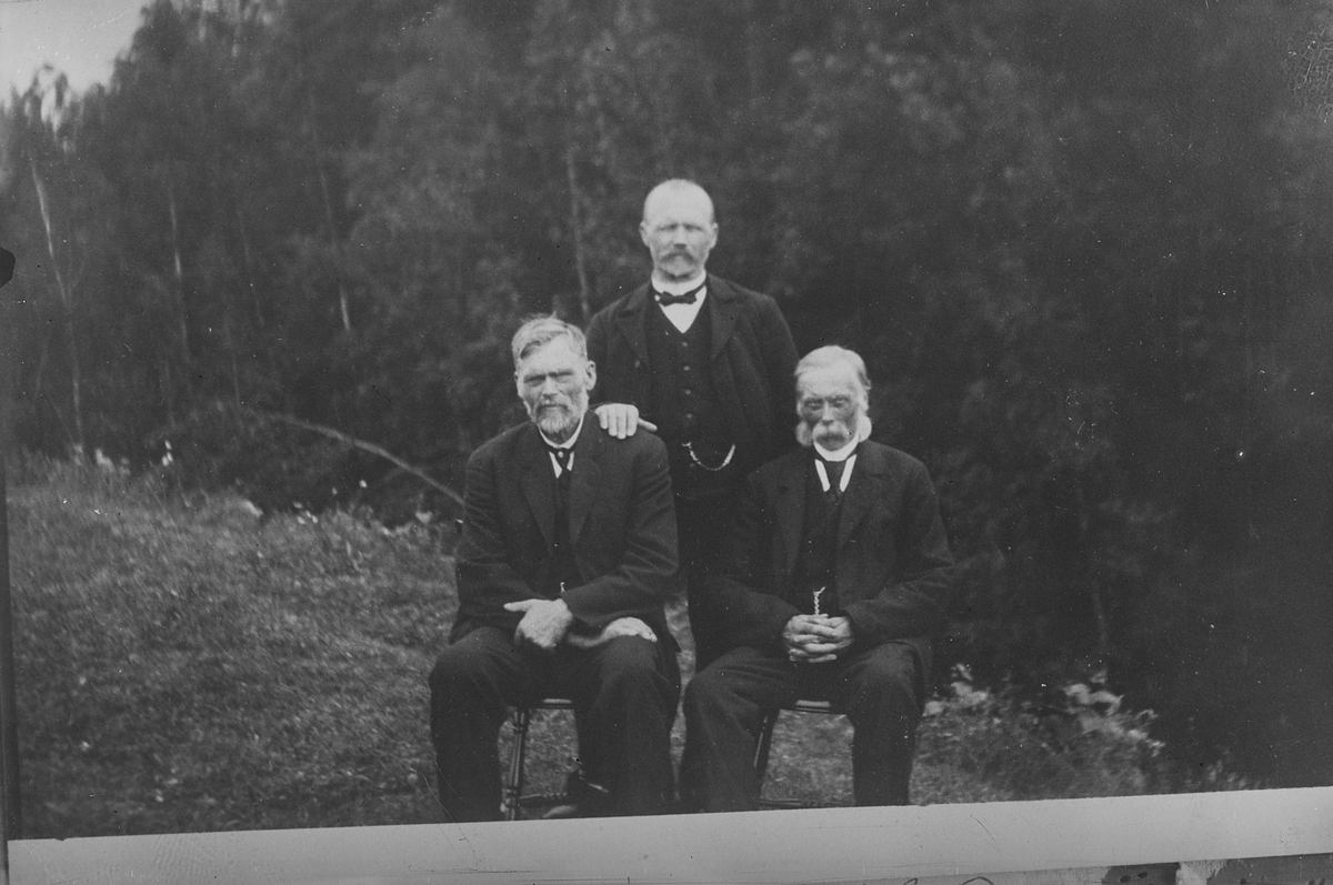 Anders Beer Wilse, Prot: Tanderum frk. gruppe
