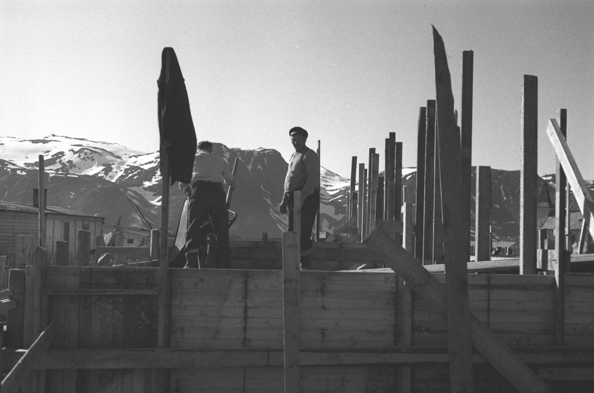 Ola Hanche-Olsen, NO.F004006