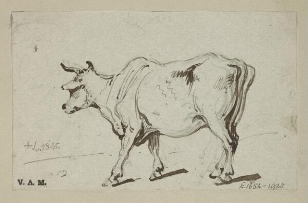 George Chinnery, A standing cow