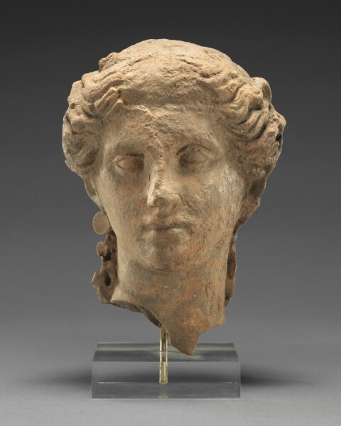 Unknown, Head of a Woman