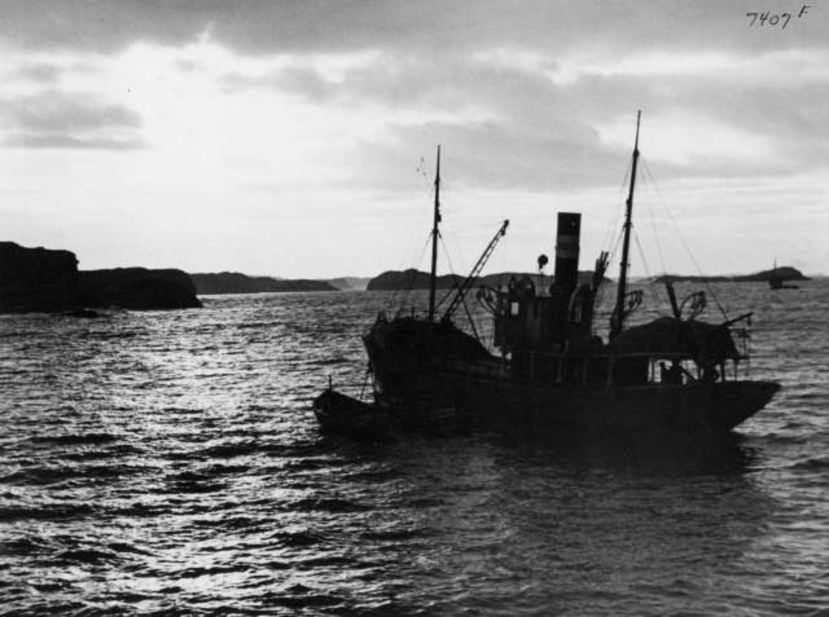 Anders Beer Wilse, -7317