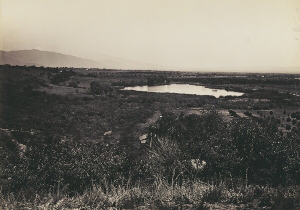 Carleton Watkins, [View in San Gabriel Valley, L.A. Co., Cal.]