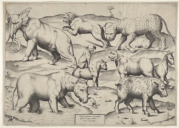 Anonymous, Italian, 16th century, Various Animals