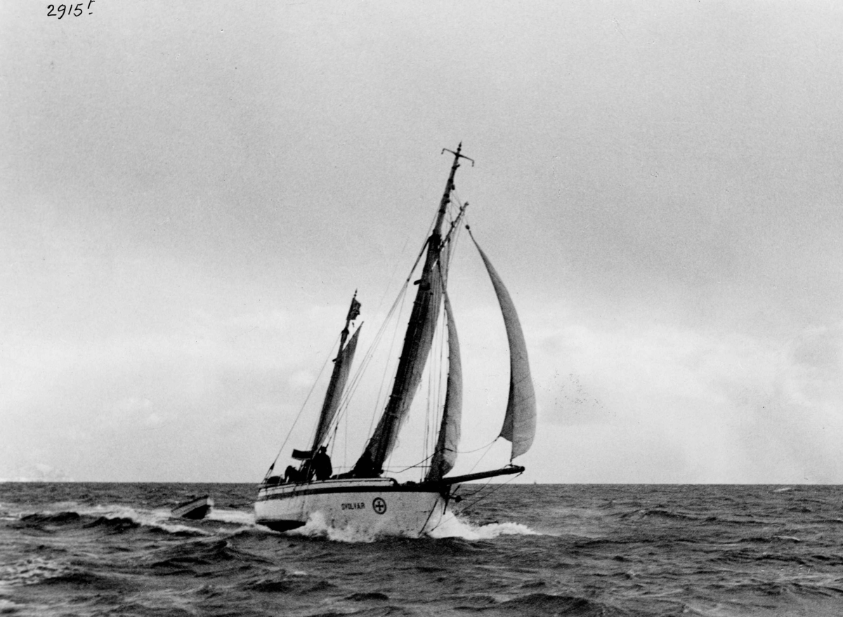 Anders Beer Wilse, Redningssskoyter