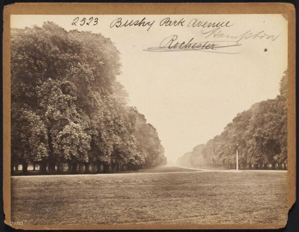 Francis Frith, Bushy Park Avenue Hampton