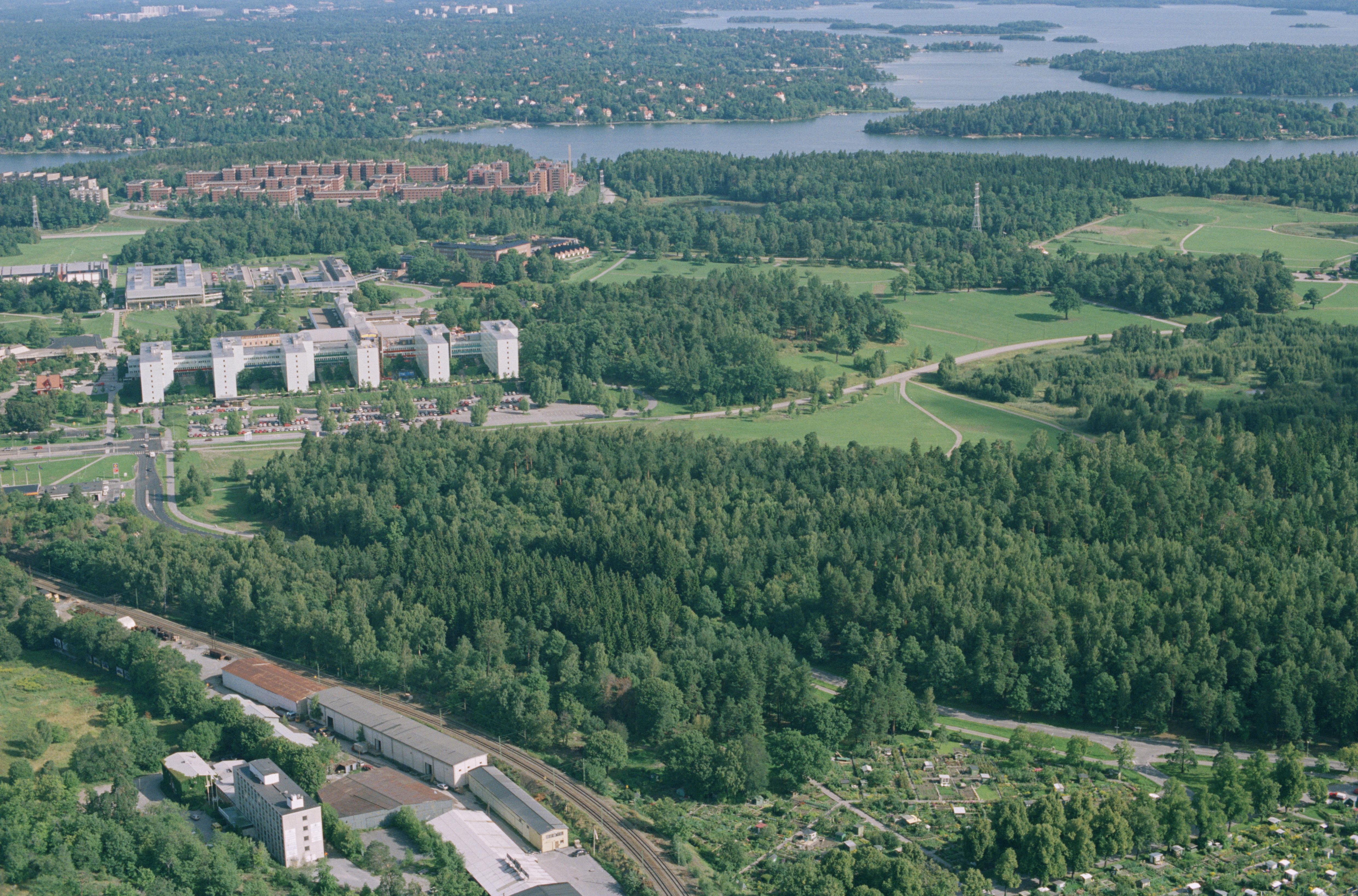 Jan Norrman, Norra Djurgården