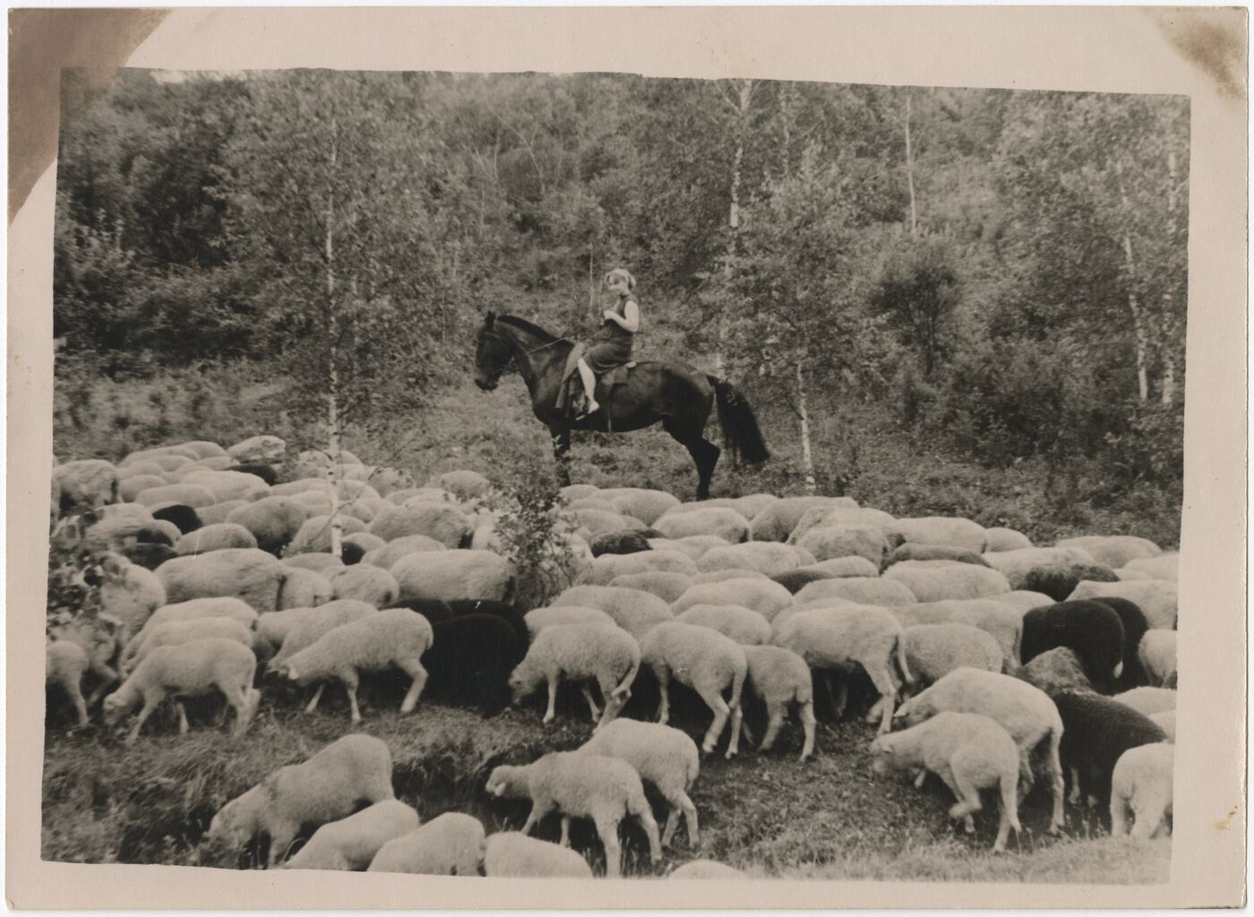 Nežinomas autorius, Zofija Pavilionytė-Tamošiūnienė svečiuose pas tėvus