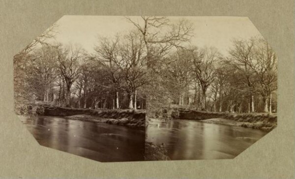 Clementina, Lady Hawarden, Photograph