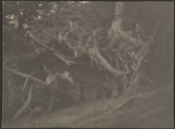 Louis Fleckenstein, [Landscape]