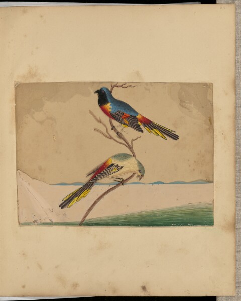 Unknown, [Two Birds]