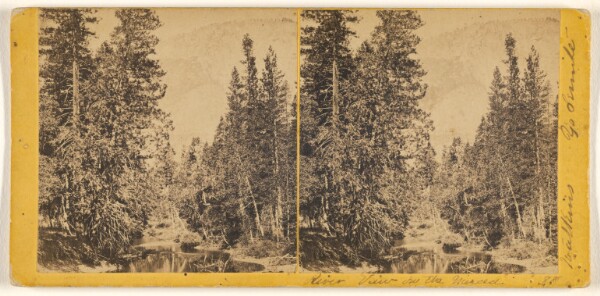 Carleton Watkins, River View on the Merced (#88)