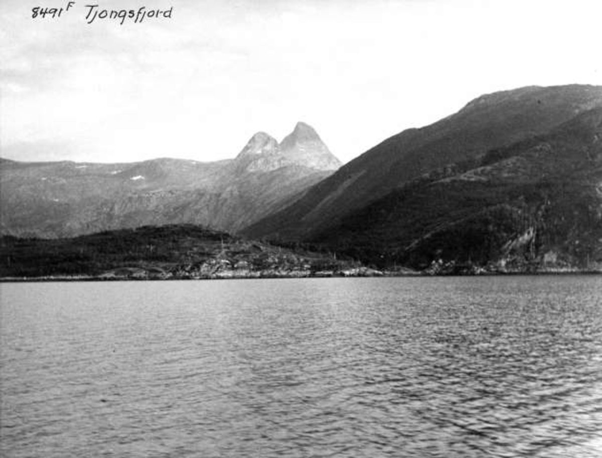 Anders Beer Wilse, -5834