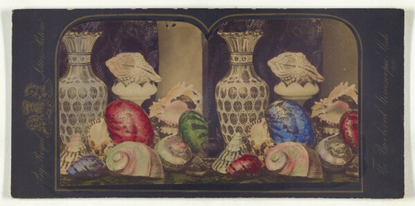 Unknown, [Shells and vases]