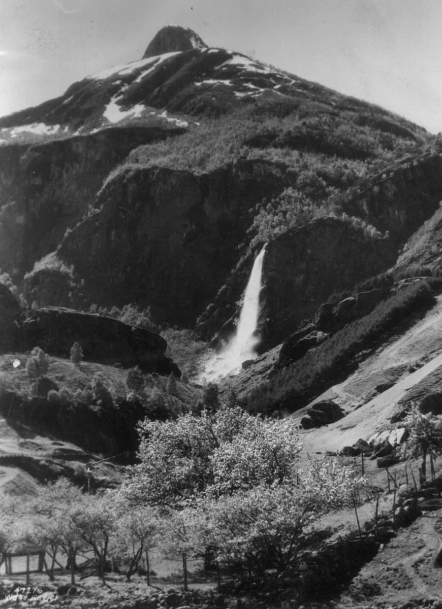 Anders Beer Wilse, Wilse original, Hardangervidda,Rjuvannfoss