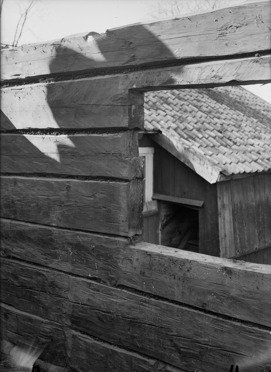 Paul Sandberg, Summer Pig-chamber on top of a sling shed - now at the open-air museum Disagården - during dismantling in Gränby, Björklinge parish, Uppland