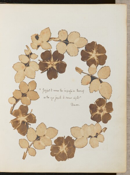 Unknown, "Joyful to receive the impression thereof as the eye joyeth to receive sight"