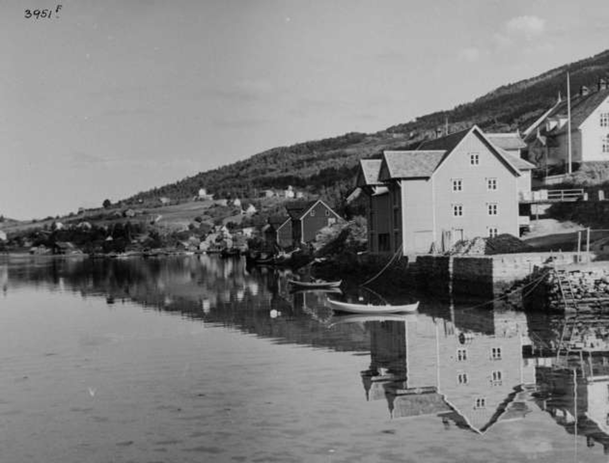 Anders Beer Wilse, -6955
