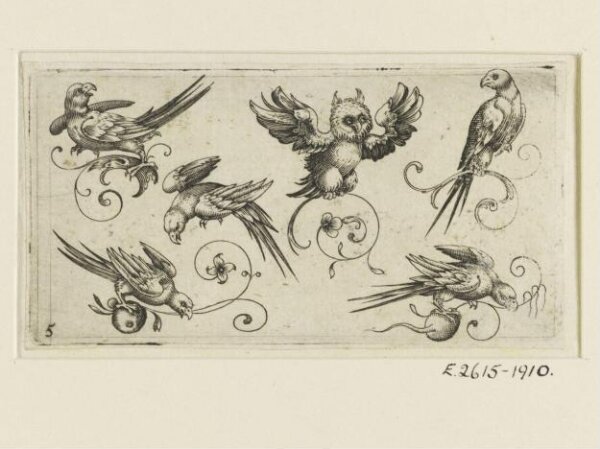 Unknown, Print