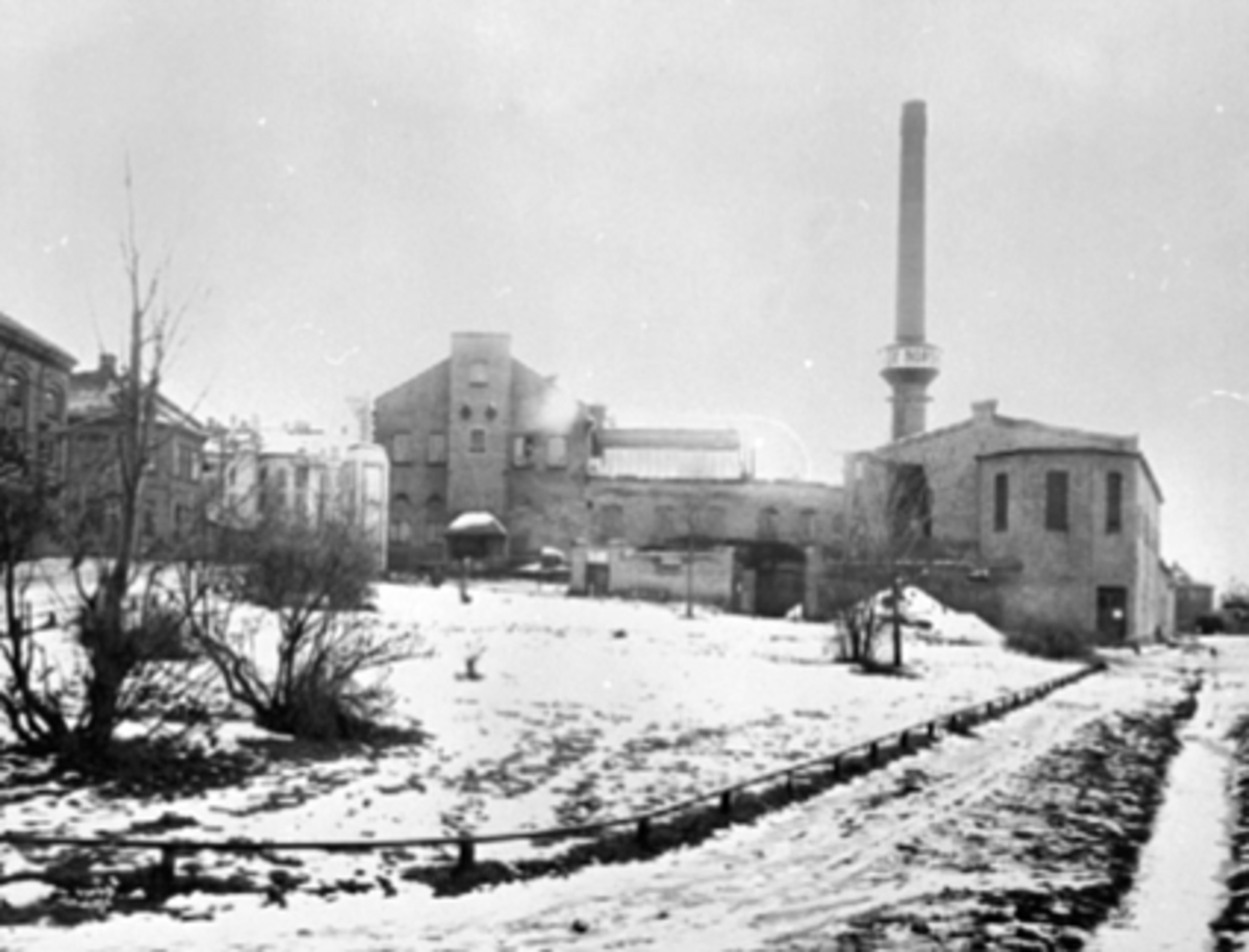 Anno Domkirkeodden, A/S DE NORSKE MELKEFABRIKKER, MELKEFABRIKKEN I STORHAMARGATA 52, KOKERIET