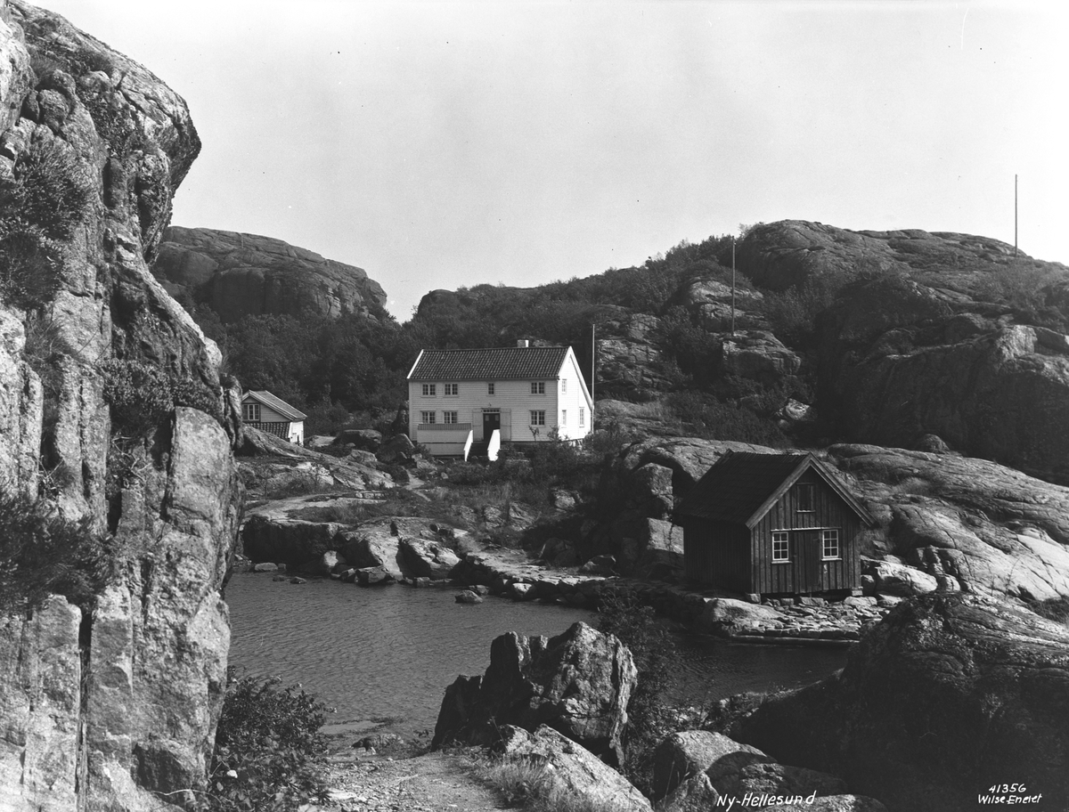 Anders Beer Wilse, Prot: Ny Hellesund Lunds hus