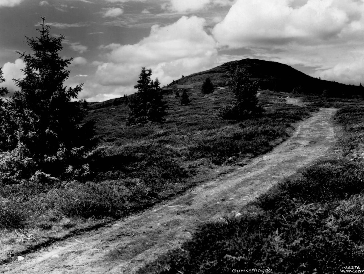 Anders Beer Wilse, Landskap, Guriset.
