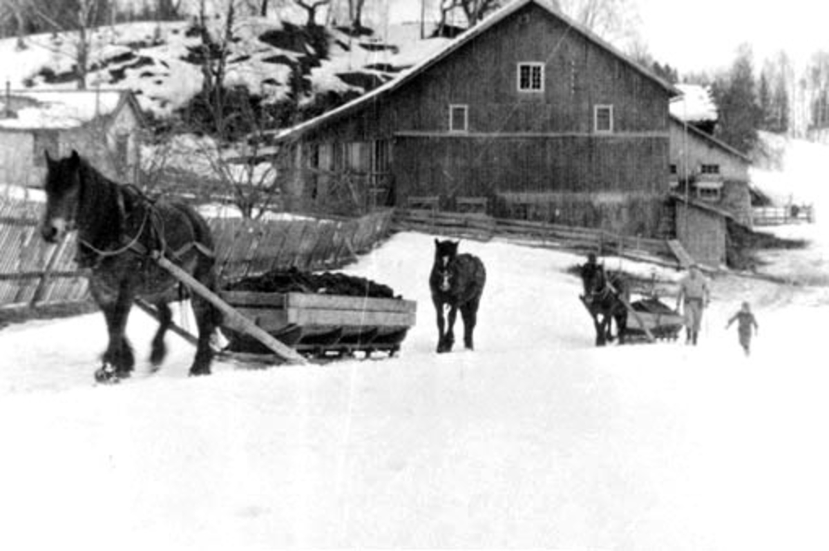Anno Domkirkeodden, Møkkjøring med hest og slede i Askehagen, Stavsjø. Den gamle låven i bakgrunnen.