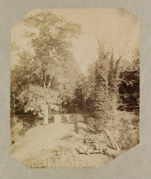 Clementina, Lady Hawarden, Photograph