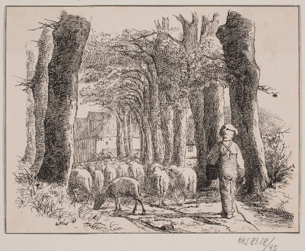 Adolph Kittendorff, Vogterdrengen