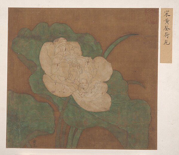 Unidentified artist, Lotus