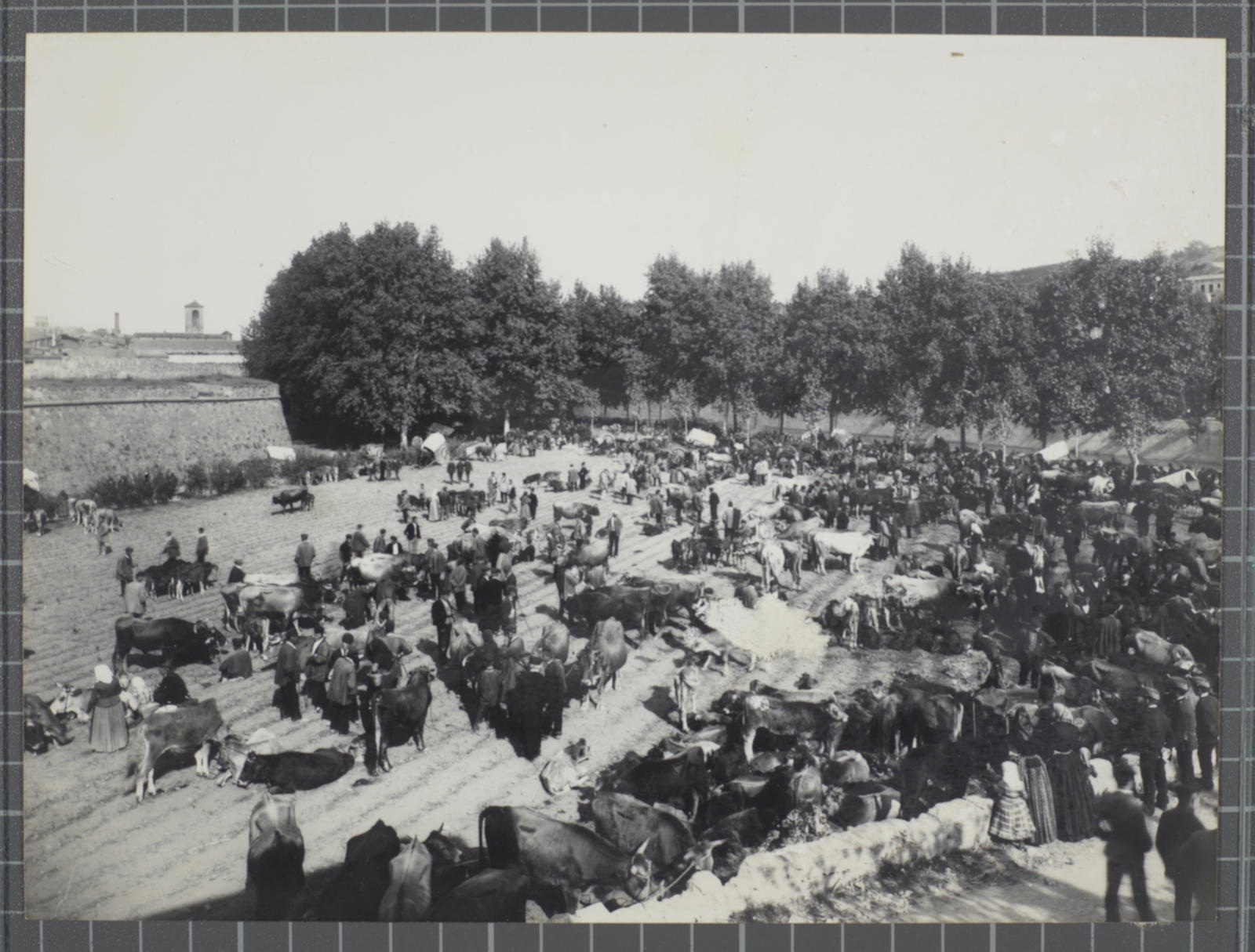 Amís Unal Alá, [Old cattle market]