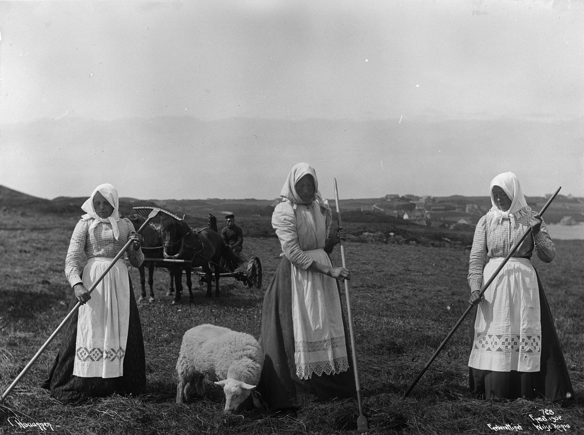 Anders Beer Wilse, Prot: I høiaann fra Avalsnes 1902