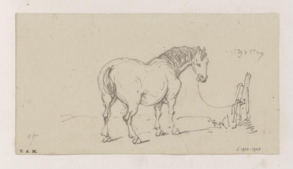 George Chinnery, Mr Beale's horse