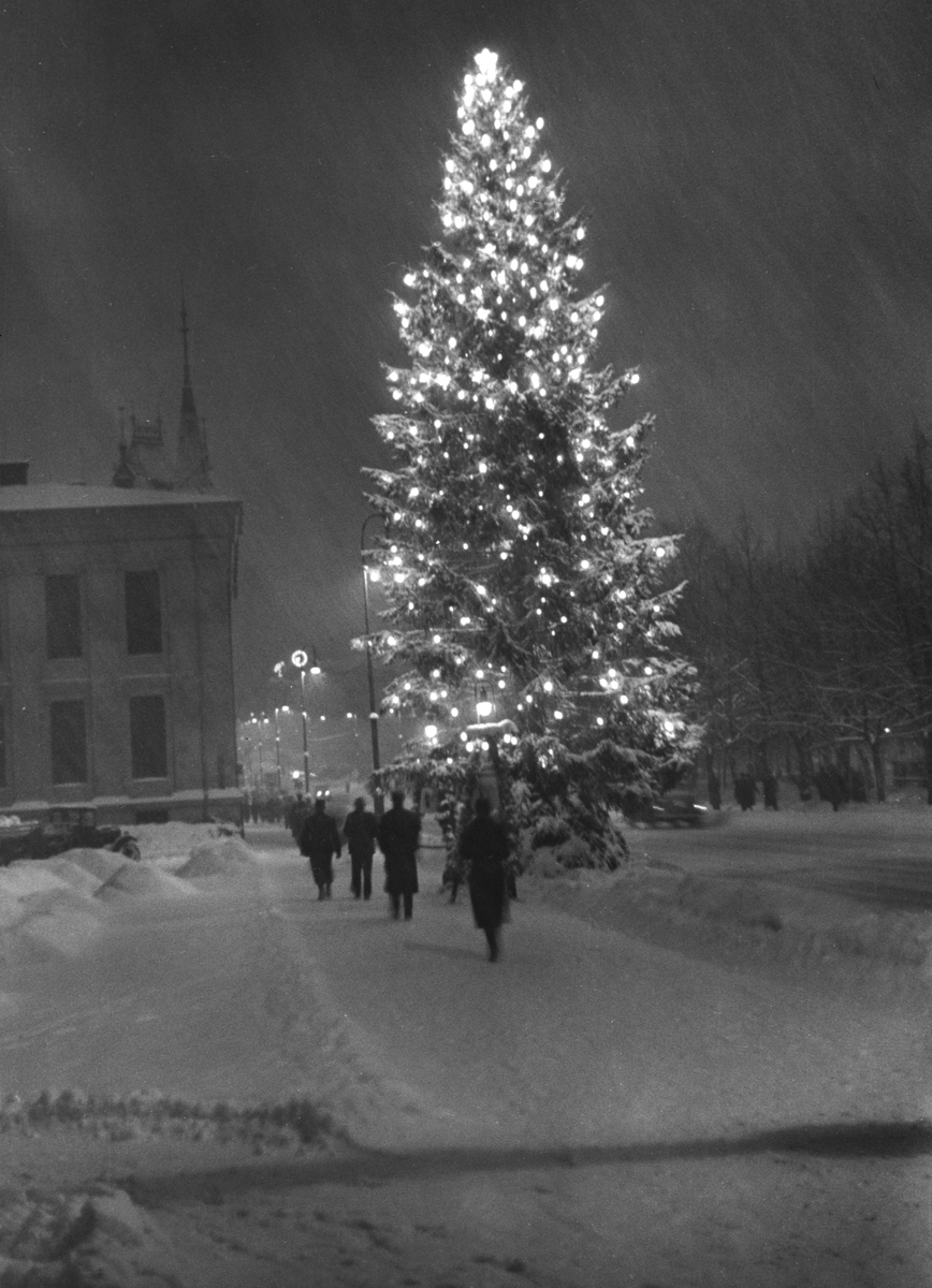 Anders Beer Wilse, Prot: Oslo