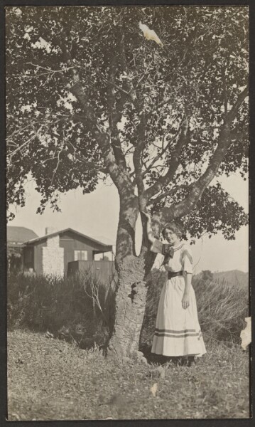 Louis Fleckenstein, [Woman and a Tree]