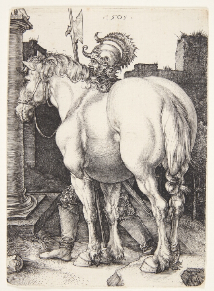 Albrecht Dürer, Den store hest