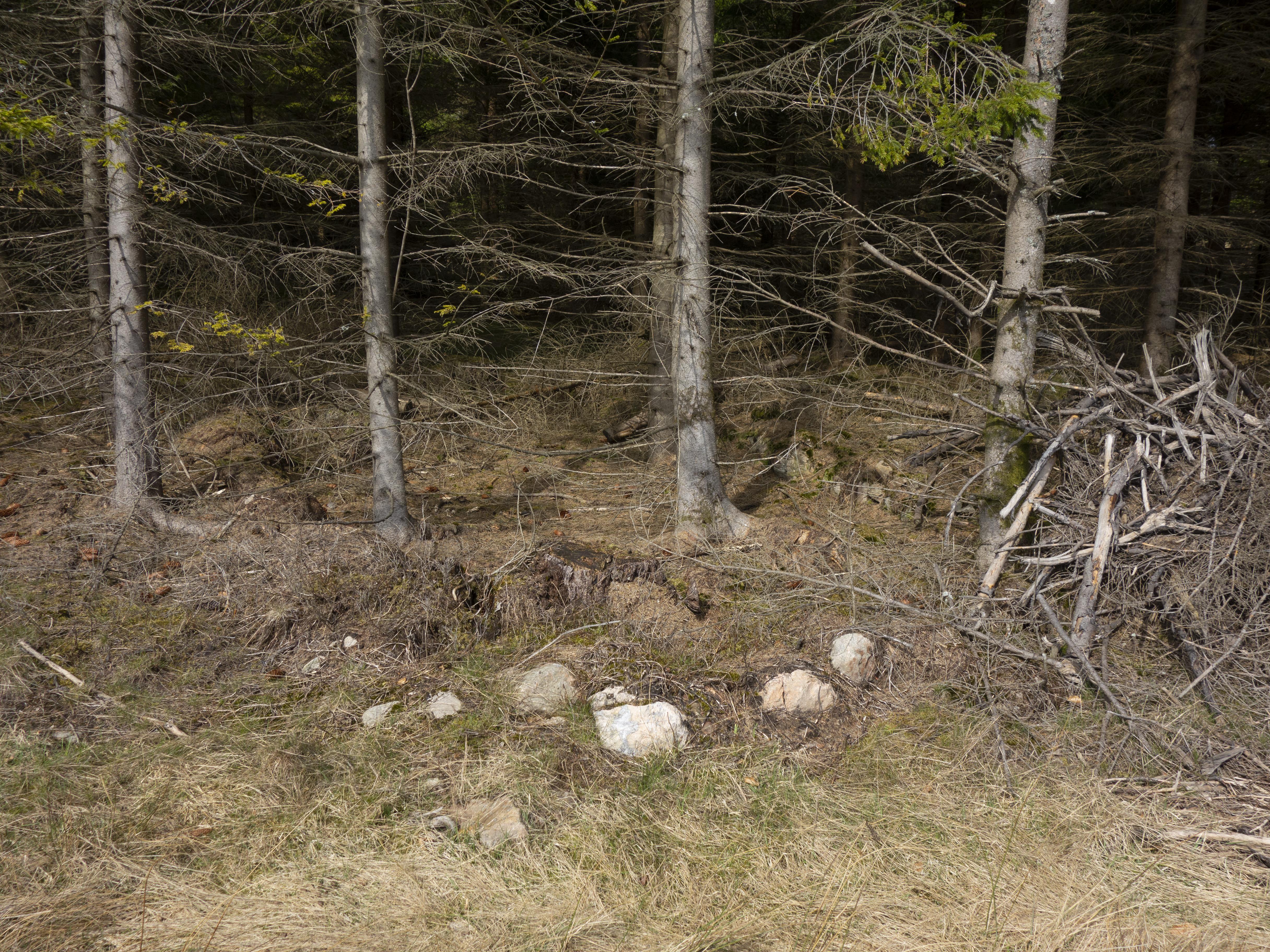 Leif Gren, Femsjö 71:1