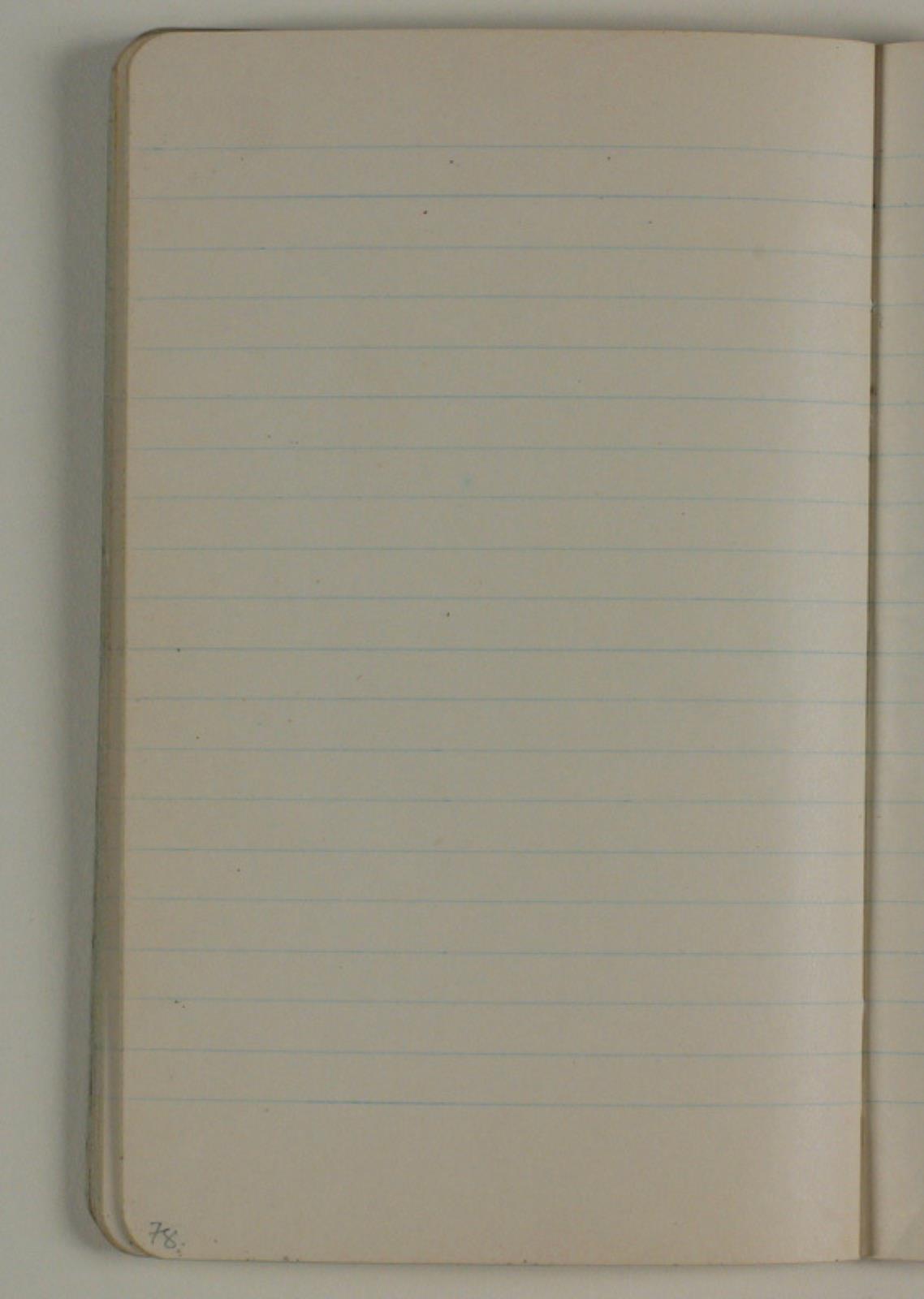 Niels Larsen Stevns, Blank