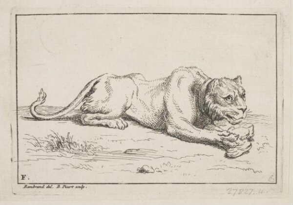 Rembrandt van Rijn, Print