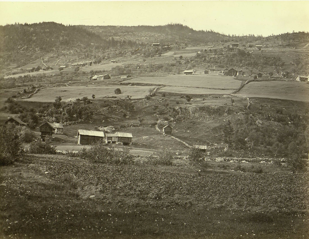 Henry Rosling, Landskap, Hjartdal ("Hjerdal"), Telemark, med gårdsbebyggelse. Fra serie norske landskapsfotografier tatt av den engelske fotografen Henry Rosling (1828-1911).