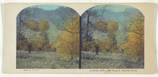 Unknown, Looking down the Canyon, Starved Rock