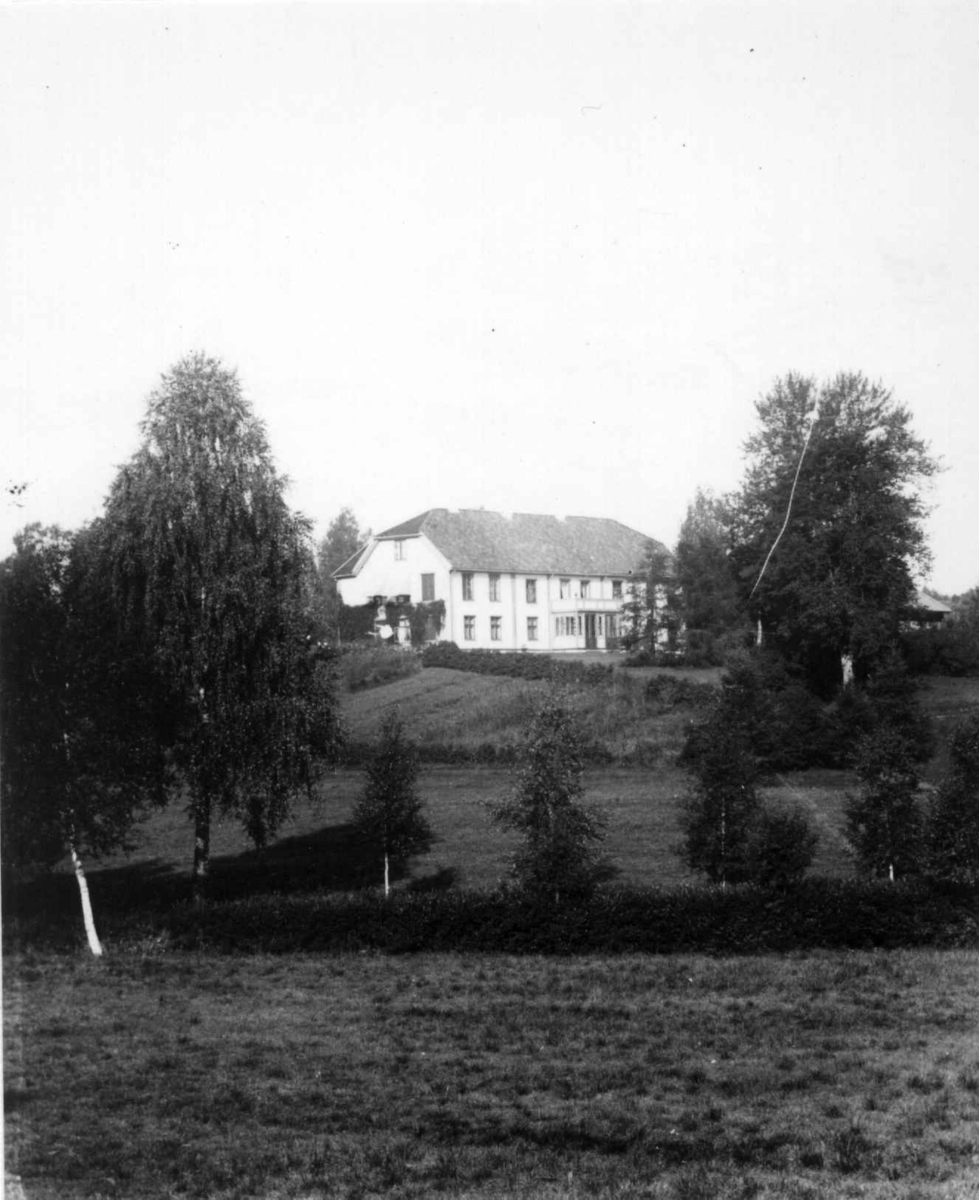 Fredrik Emil Faye, Dal gård, Ullensaker. Hovedbygning. Fra serie fotografert av kammerherre Fredrik Emil Faye (1844-1903), gårdens eier.
