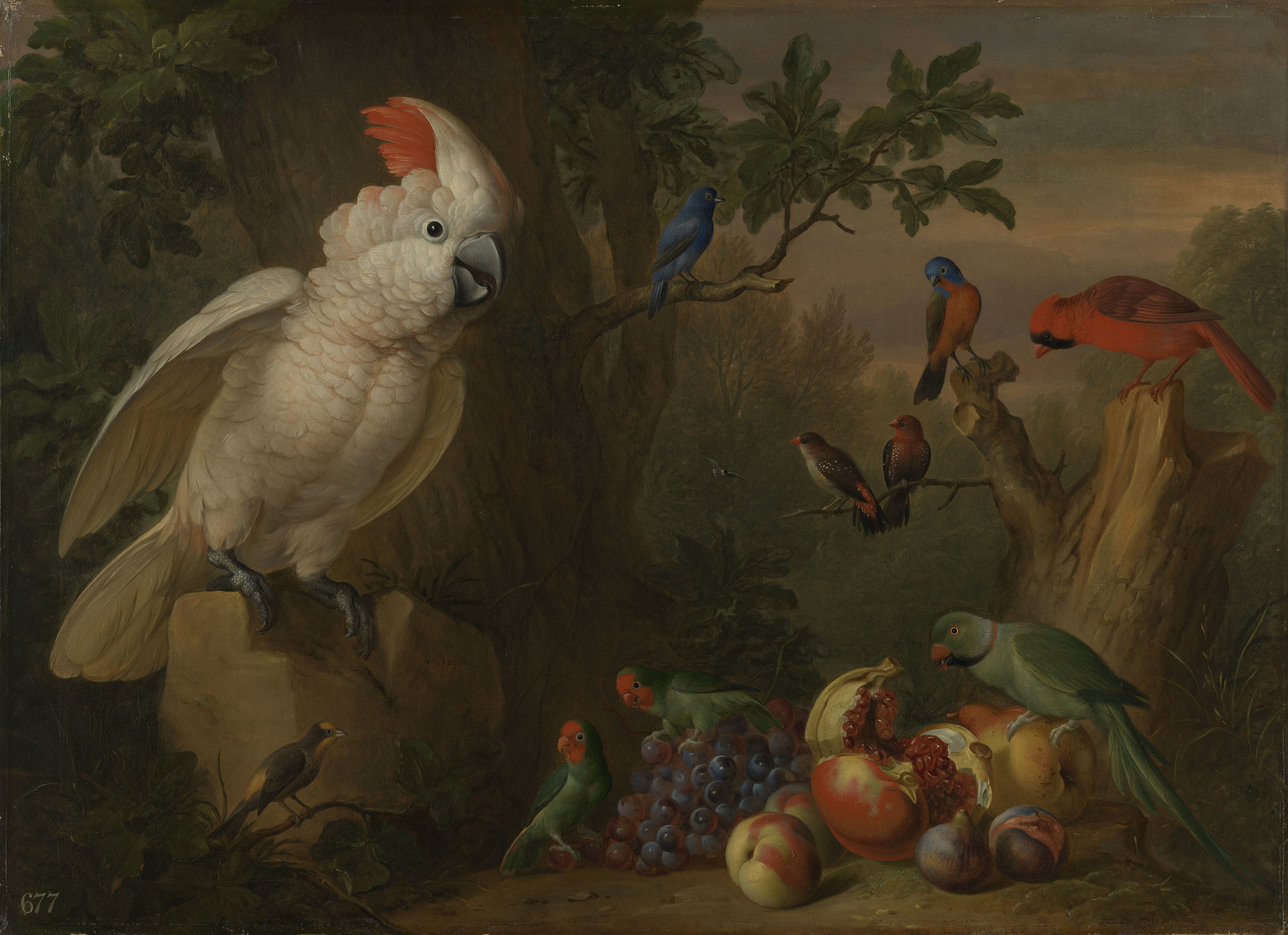 Jakob Bogdani, Birds and Fruit in a Landscape
