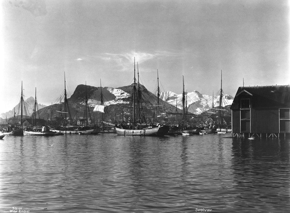 Anders Beer Wilse, Prot: Lofotfiske - Svolvær havn Opkjøperne