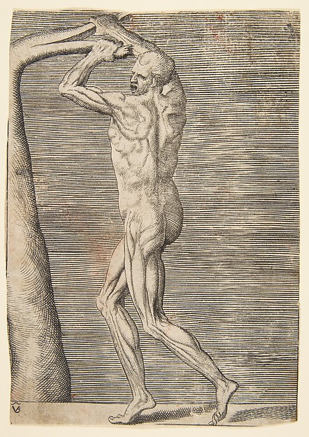 Giulio Bonasone, Flayed man holding the branch of a tree