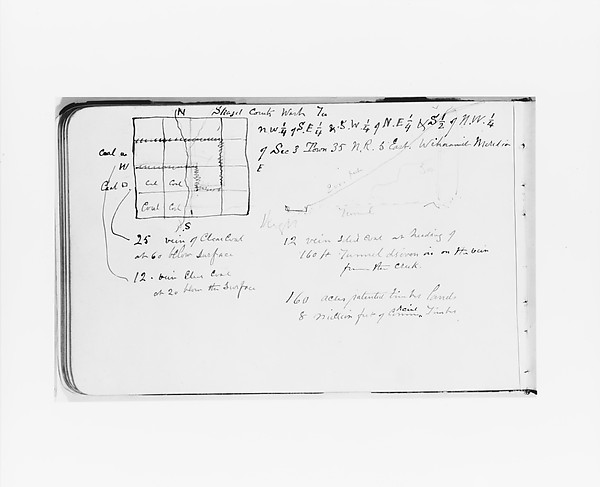 Albert Bierstadt, Geographical and Geological Notes on Skagit County, Washington (from Sketchbook)