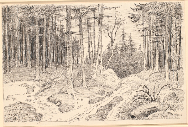 Johan Thomas Lundbye, Hulvej gennem en granskov