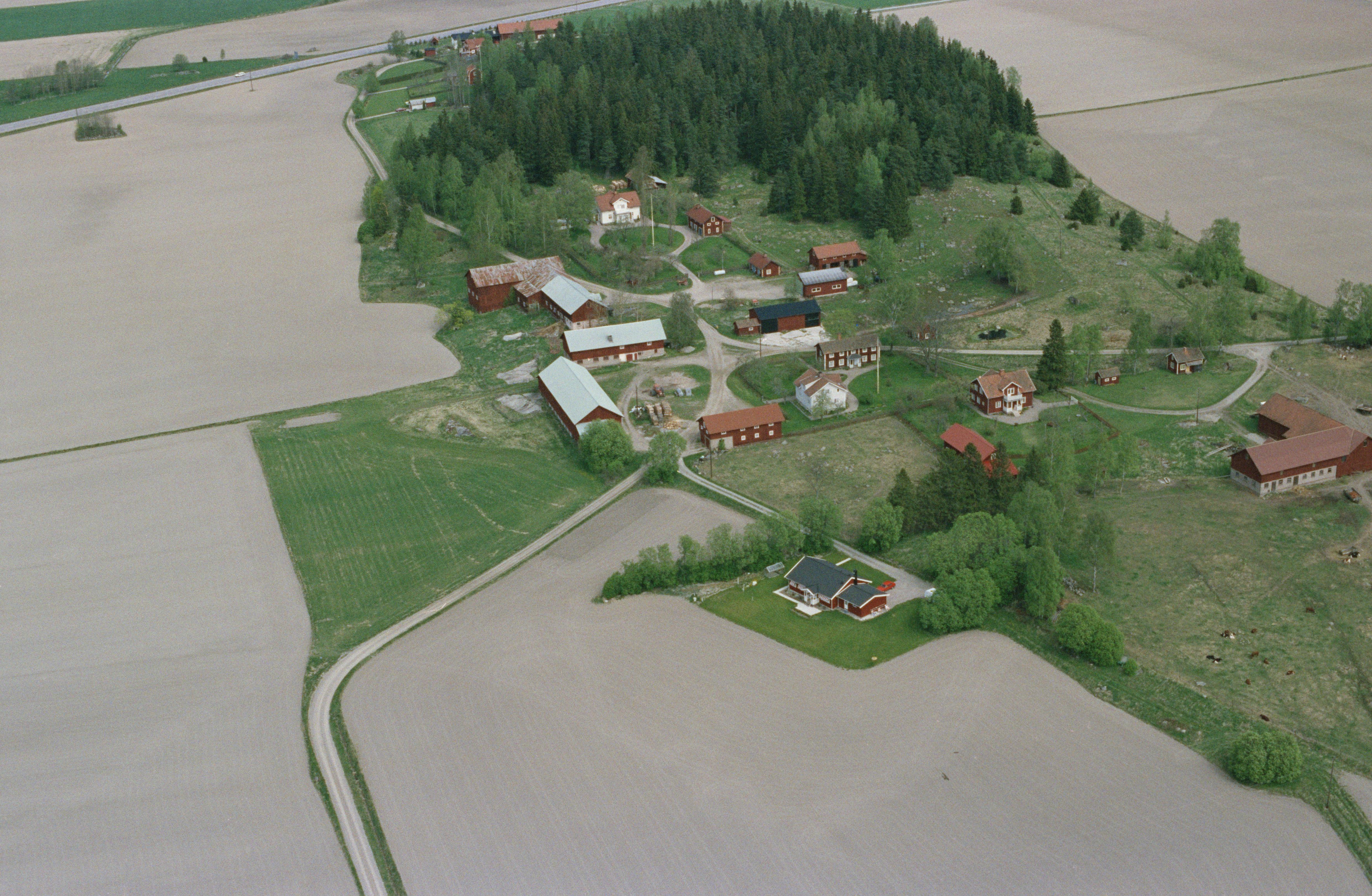 Jan Norrman, Munktorp 132:1
