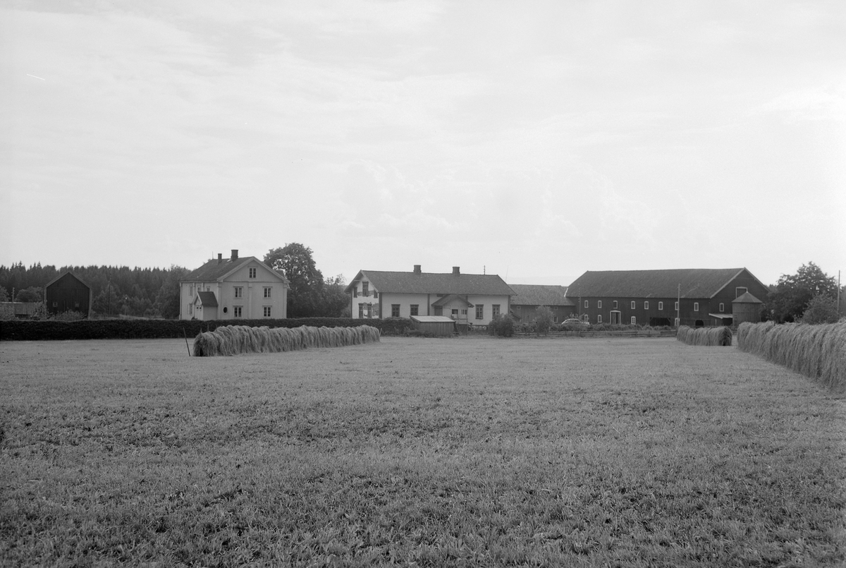 Anno Domkirkeodden, EKSTR: GARDSTUN, BY. Se Løtenboka, bind 3. Bygdeboka fra 1955, side 318
